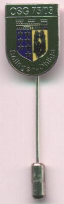 Anstecknadel